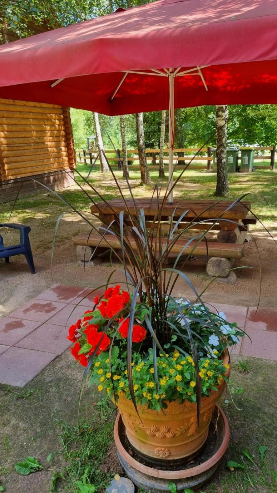 Camping Oskalns Cēsis Exterior foto
